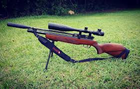 Air Rifle