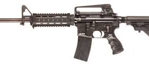 Self-loading Rifle