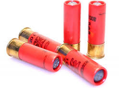 12 G Shotgun Slug