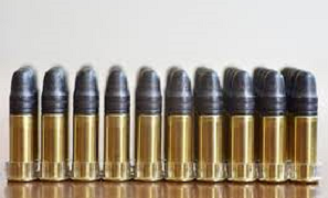 .22 Ammuition