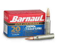 308 Ammunition